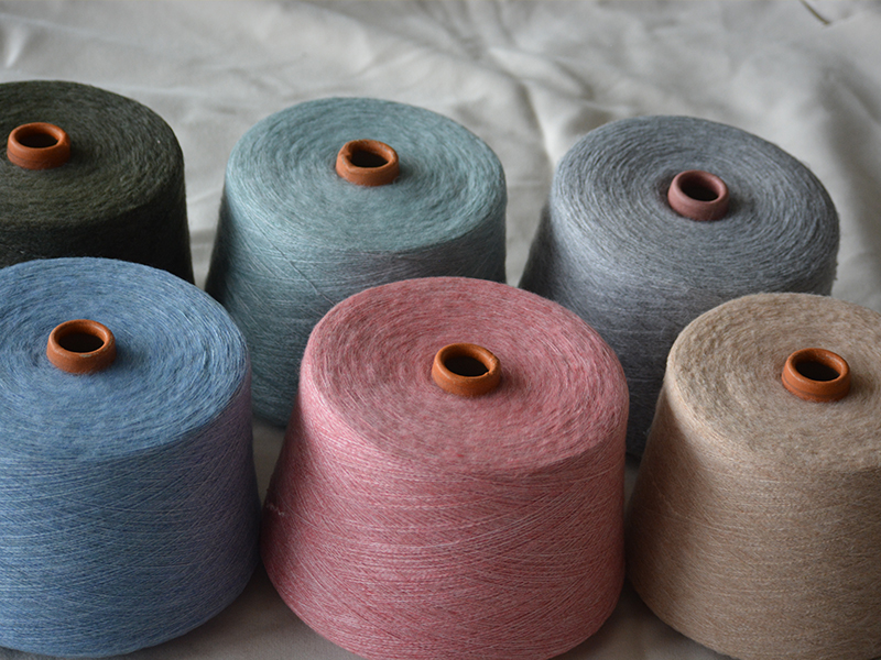 ��ʽɴ�ߵ���������Щ